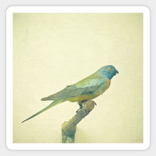 Bird Study #3 Sticker